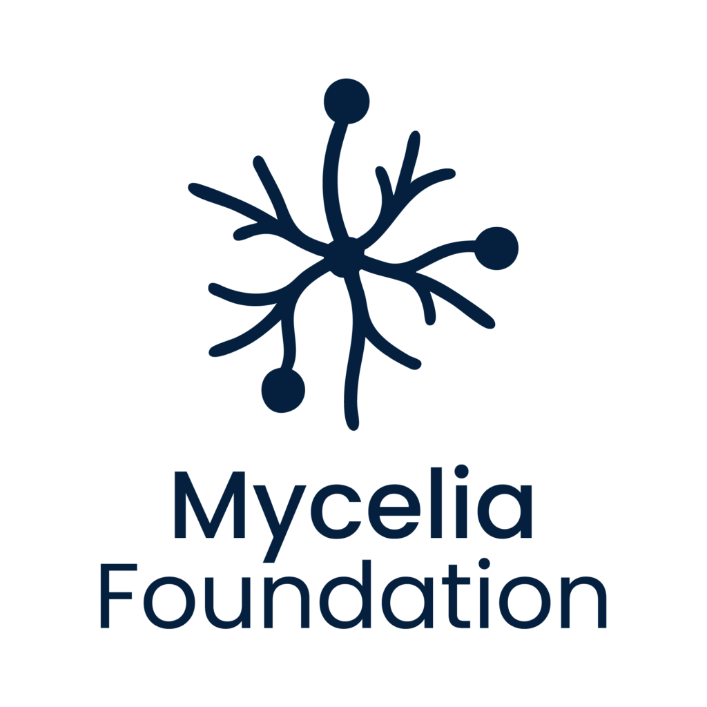 Dark blue mycelium symbol above "Mycelia Foundation," a Las Cruces non-profit for affordable internet access.
